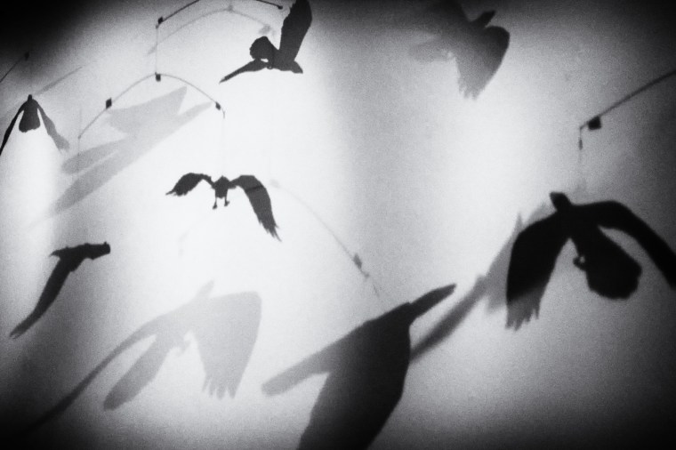 20170228__dsc4246-skuggfigurer